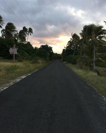 Adele_tsy Çıplak Sızıntıları OnlyFans Fotoğraf 22