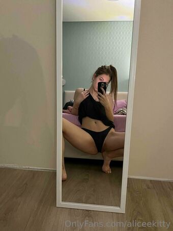 aliceekitty Çıplak Sızıntıları OnlyFans Fotoğraf 17
