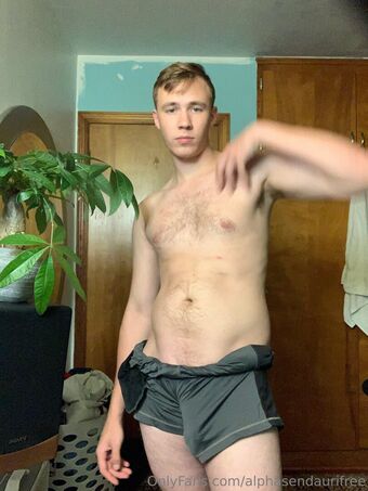 alphasendaurifree