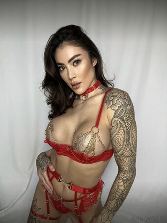 Aria Wild Çıplak Sızıntıları OnlyFans Fotoğraf 8