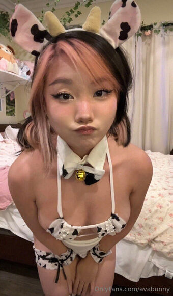 Avabunny