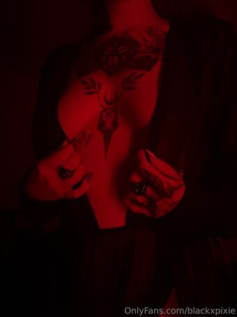 blackxpixie Çıplak Sızıntıları OnlyFans Fotoğraf 19
