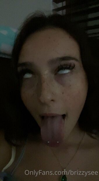 Brizzysee
