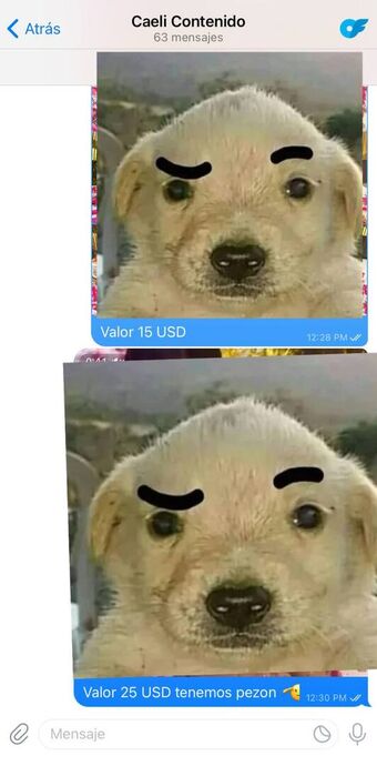 Caelike