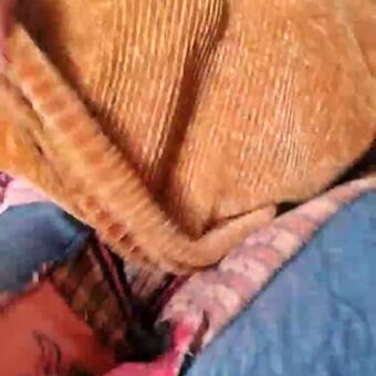 Cami Sweet Çıplak Sızıntıları OnlyFans Fotoğraf 40