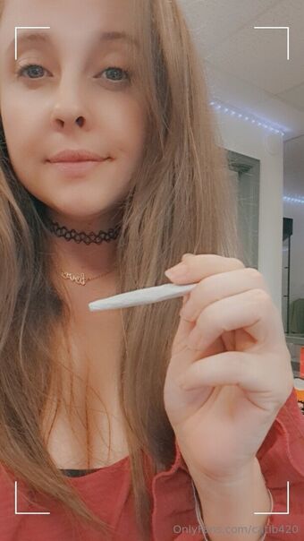 catlb420