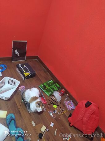 cbiki Çıplak Sızıntıları OnlyFans Fotoğraf 33