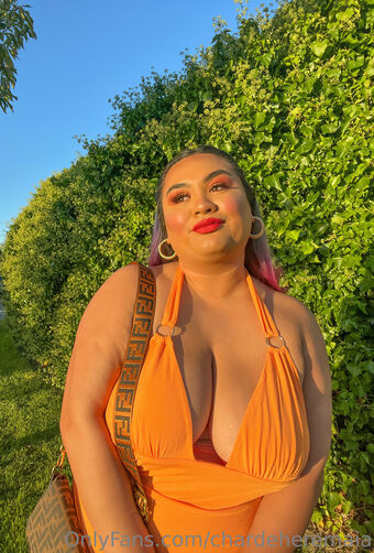 charde888 Çıplak Sızıntıları OnlyFans Fotoğraf 5