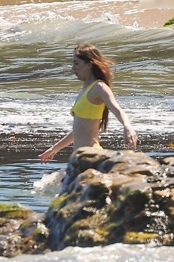 Dakota Johnson
