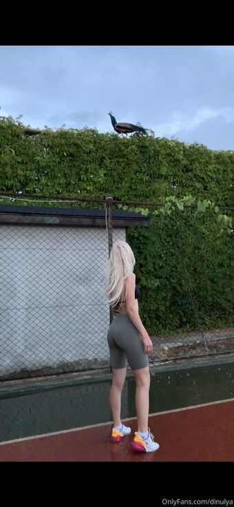 dinulya Çıplak Sızıntıları OnlyFans Fotoğraf 29