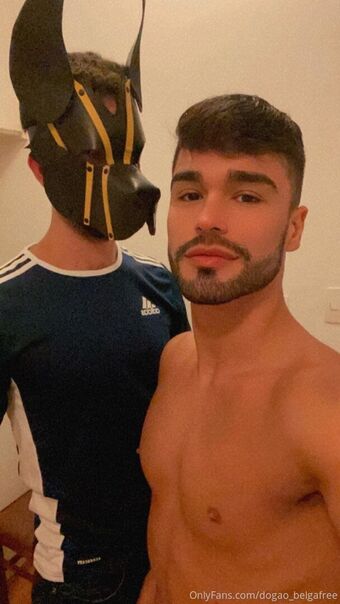 dogao_belgafree