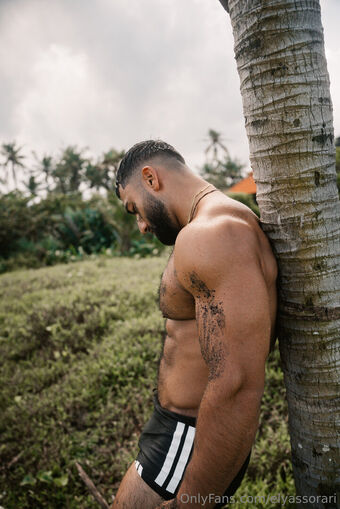 elyassorari