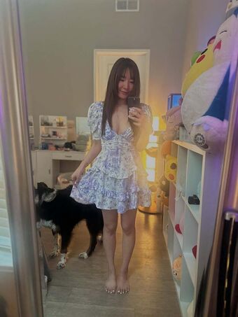 Emily Wang Çıplak Sızıntıları OnlyFans Fotoğraf 46