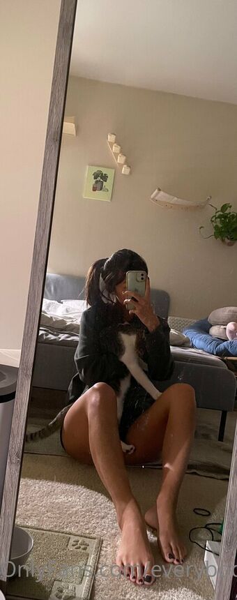 everybodymeow