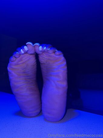 feedmecocoaa Çıplak Sızıntıları OnlyFans Fotoğraf 20
