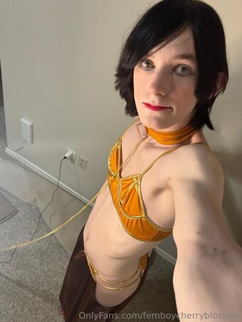 femboycherryblossom