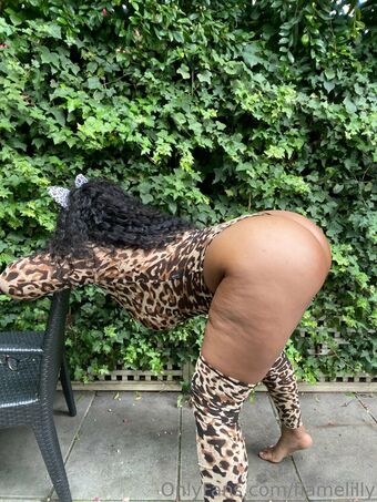 flamelilly Çıplak Sızıntıları OnlyFans Fotoğraf 14