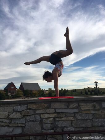 flexiblefun