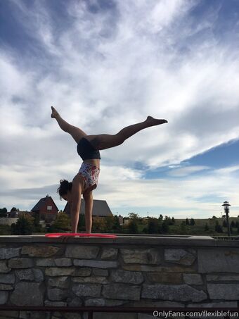 flexiblefun