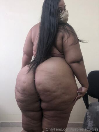 gabrielacurves