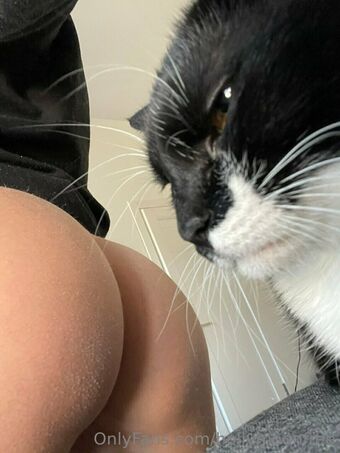 hollymoonvvip Çıplak Sızıntıları OnlyFans Fotoğraf 3