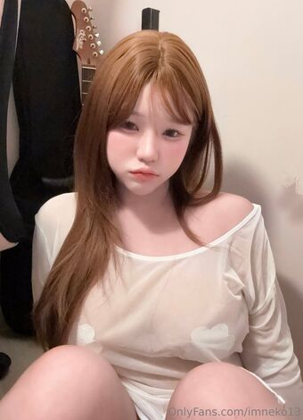 Imneko13