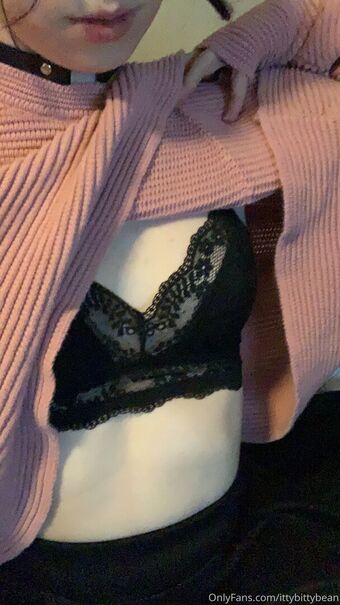 ittybittybean Çıplak Sızıntıları OnlyFans Fotoğraf 8