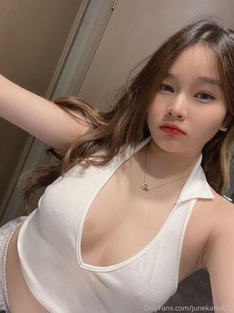 junekanok Çıplak Sızıntıları OnlyFans Fotoğraf 23