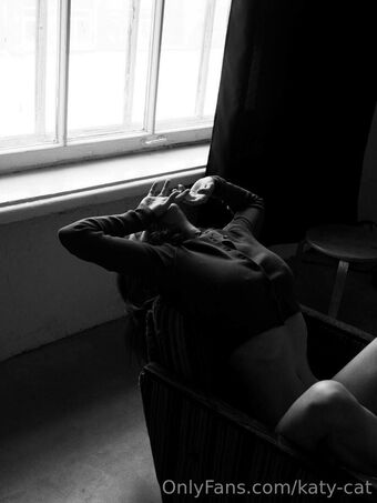 katy-cat