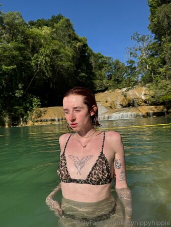 kittynippyhippie Çıplak Sızıntıları OnlyFans Fotoğraf 39