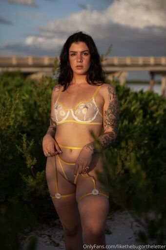 likethebugortheletter