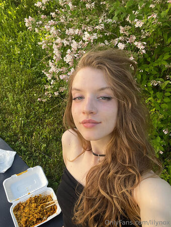 lilynox Çıplak Sızıntıları OnlyFans Fotoğraf 30