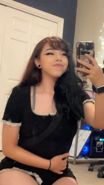 Luusilly Çıplak Sızıntıları OnlyFans Fotoğraf 24