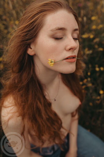 meg.modelling