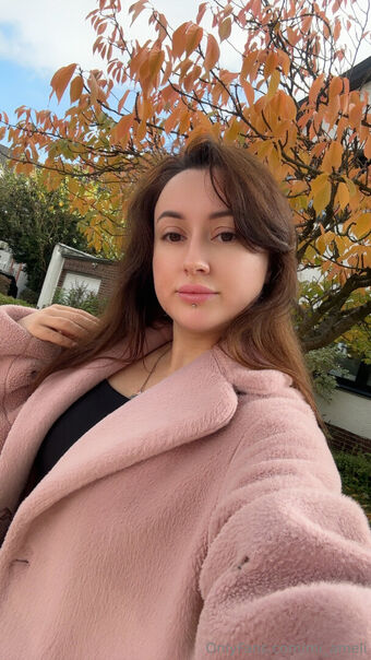 mi_ameli