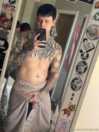 mintsicle Çıplak Sızıntıları OnlyFans Fotoğraf 11