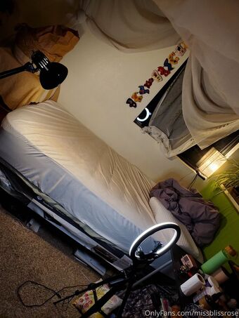 Missblissrose