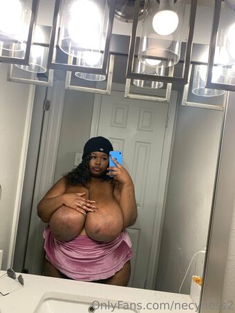 necyness2