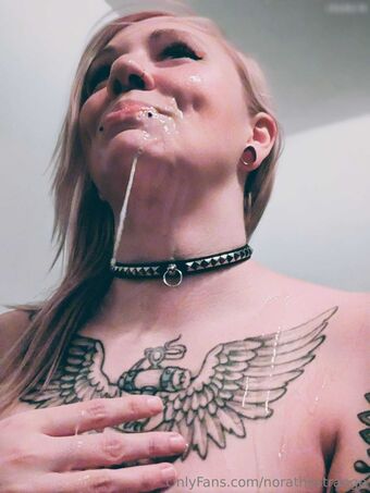 norathestrange Çıplak Sızıntıları OnlyFans Fotoğraf 26