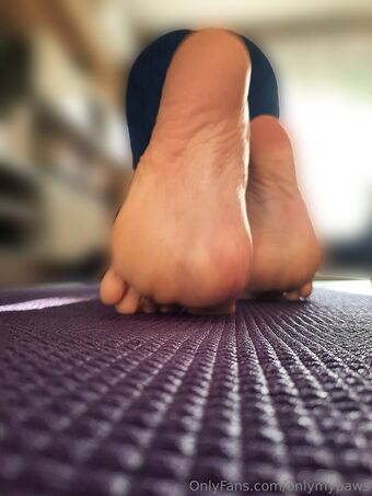 onlymypaws