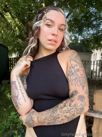 opalcat Çıplak Sızıntıları OnlyFans Fotoğraf 15