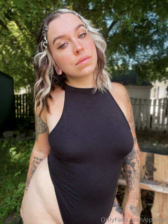 opalcat Çıplak Sızıntıları OnlyFans Fotoğraf 17
