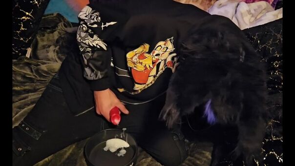 pawsheisty Çıplak Sızıntıları OnlyFans Fotoğraf 7