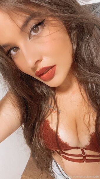 picapicamodel