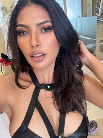 ploytoy Çıplak Sızıntıları OnlyFans Fotoğraf 27