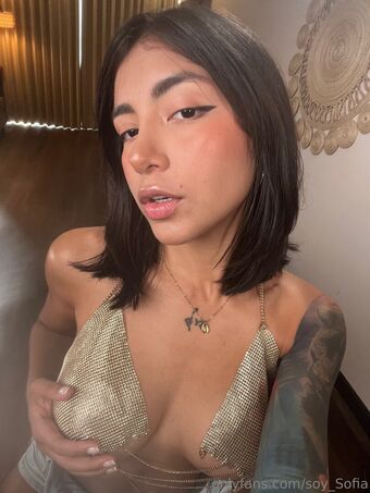 soysofia_2 Çıplak Sızıntıları OnlyFans Fotoğraf 54