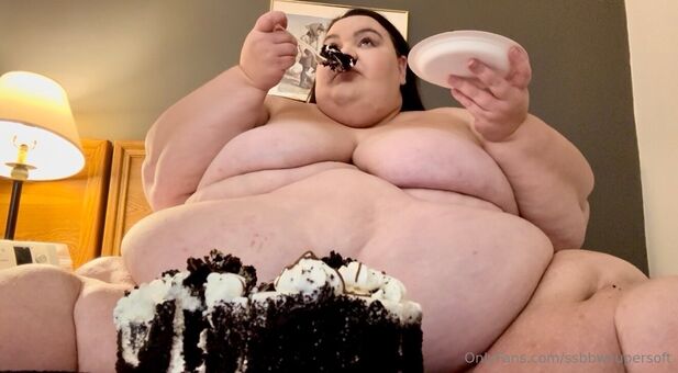 ssbbwsupersoft