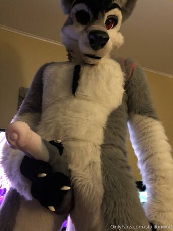stallionwolf