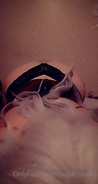 sugarpanda Çıplak Sızıntıları OnlyFans Fotoğraf 11