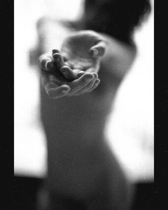 Teri Wyble
